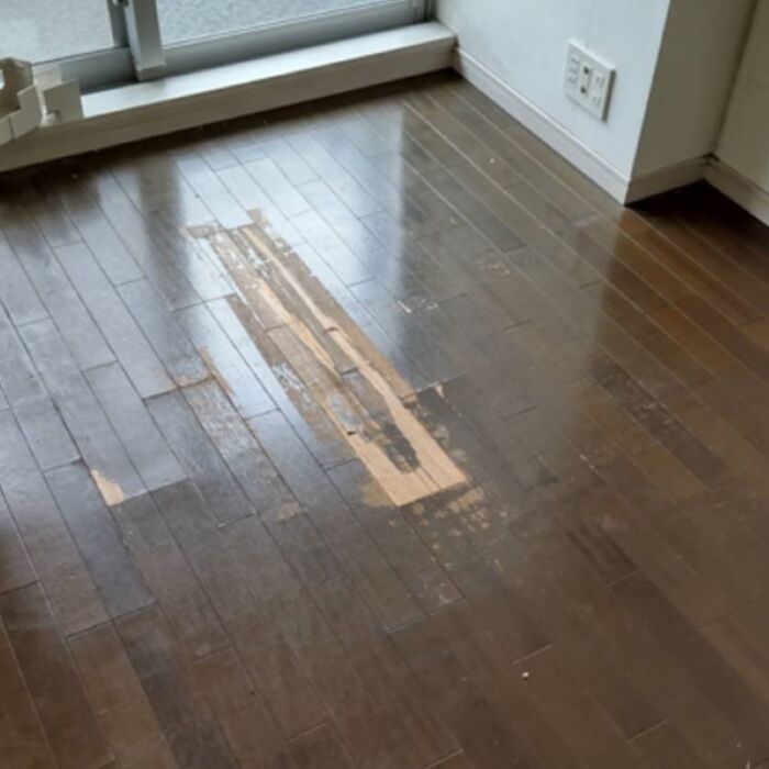 キャプチャ